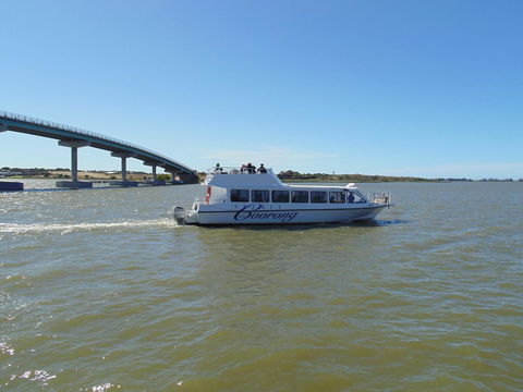 Baronet B & B - Accommodation Gladstone 28