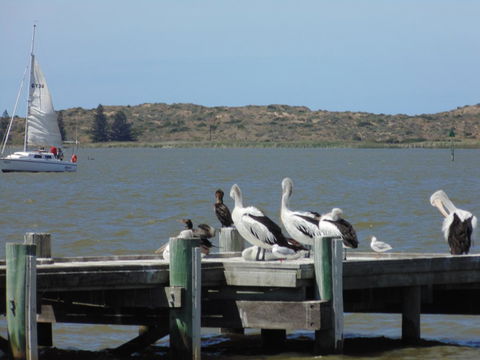 Baronet B & B - Accommodation Gladstone 20
