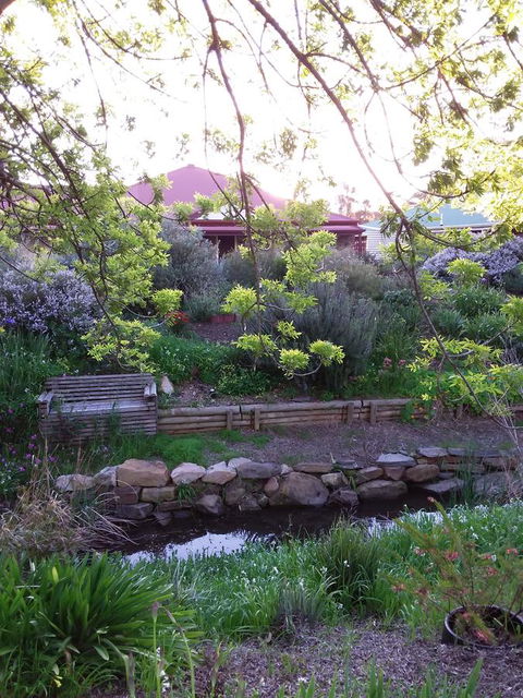 Frog Song At Willunga - Accommodation Gladstone 0