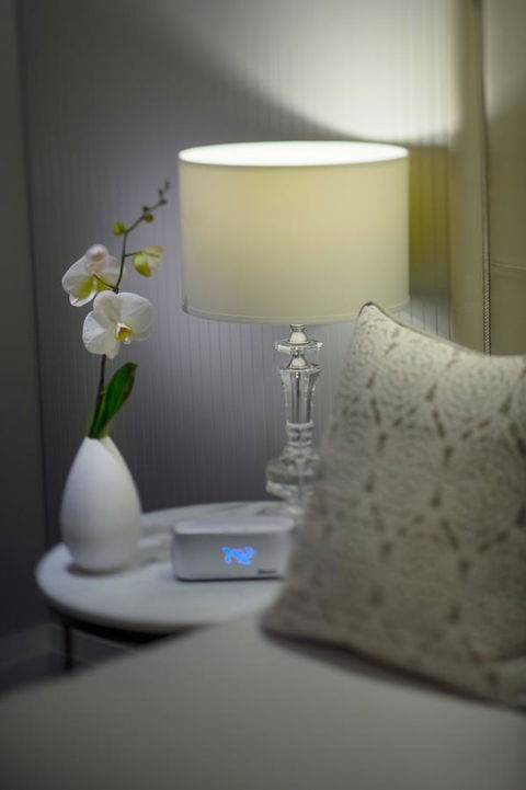 Mayfair Hotel - Accommodation Gladstone 13
