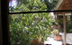 Trevalia Accommodation - thumb 4