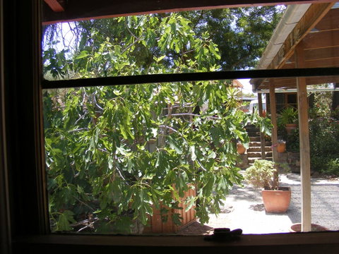 Trevalia Accommodation - Accommodation Gladstone 4