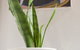 Trevalia Accommodation - thumb 27
