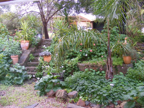 Trevalia Accommodation - Accommodation Gladstone 12