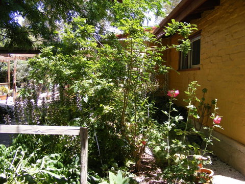 Trevalia Accommodation - Accommodation Gladstone 7