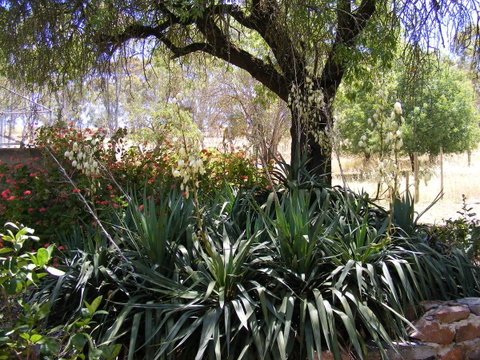 Trevalia Accommodation - Accommodation Gladstone 6