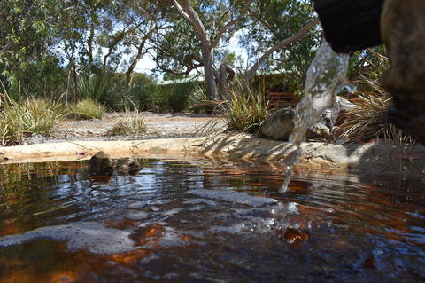 Kangaroo Island Wilderness Retreat - Accommodation Gladstone 25