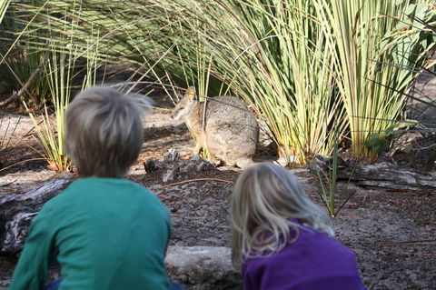 Kangaroo Island Wilderness Retreat - Accommodation Gladstone 30