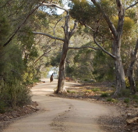Kangaroo Island Wilderness Retreat - Accommodation Gladstone 22