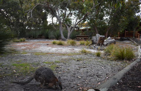 Kangaroo Island Wilderness Retreat - Accommodation Gladstone 1