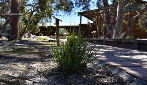 Kangaroo Island Wilderness Retreat - Accommodation Gladstone 21