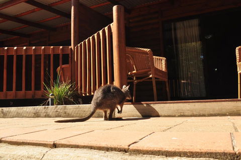 Kangaroo Island Wilderness Retreat - Accommodation Gladstone 9