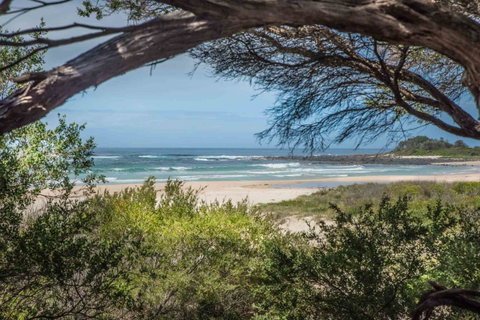 BIG4 Tasman Holiday Parks - Racecourse Beach - Accommodation Gladstone 7