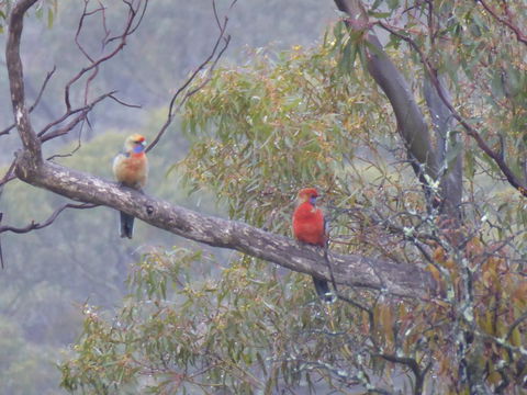 Molly's Chase - Accommodation Gladstone 13
