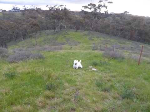 Molly's Chase - Accommodation Gladstone 22