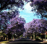 Monaco Court Apartment Adelaide - Accommodation Gladstone