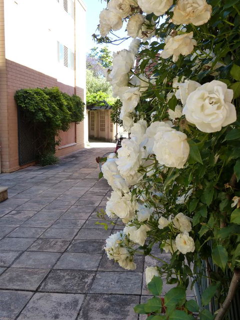 Monaco Court Apartment Adelaide - Accommodation Gladstone 19