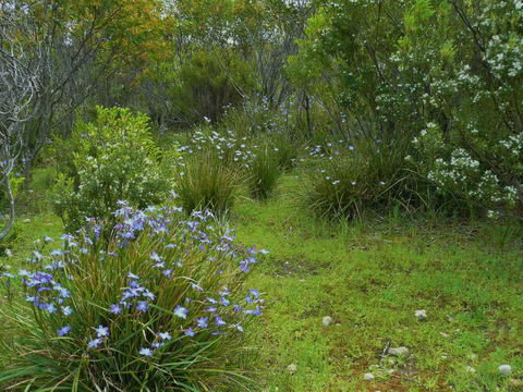 Kestrel Downs - Accommodation Gladstone 32