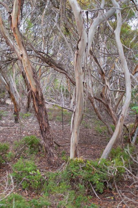 Kestrel Downs - Accommodation Gladstone 19