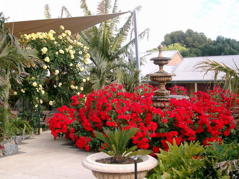 McLaren Vale Motel & Apartments - Accommodation Gladstone 35