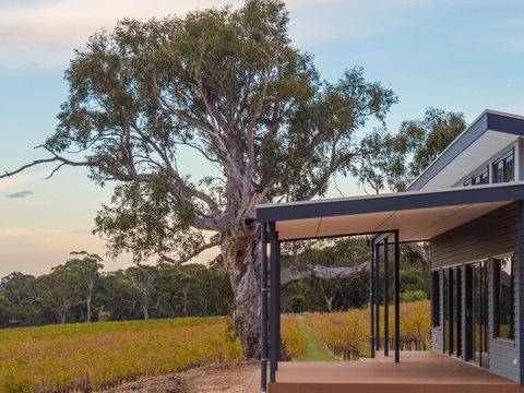Shadow Creek McLaren Vale - Accommodation Gladstone 19