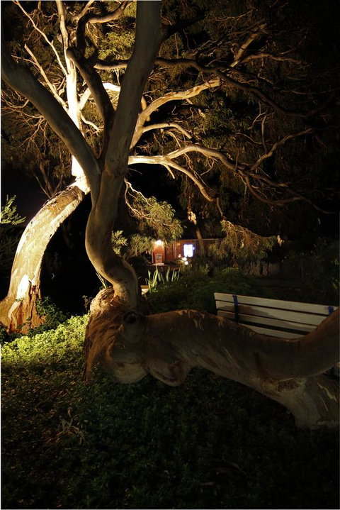 Cape Jervis Holiday Units - Accommodation Gladstone 14