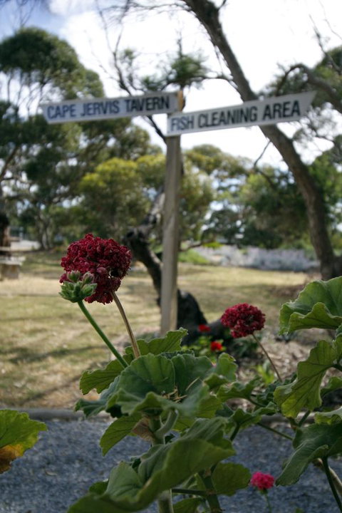 Cape Jervis Holiday Units - Accommodation Gladstone 13