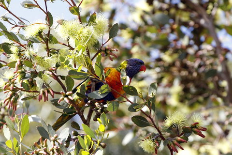 Cape Jervis Holiday Units - Accommodation Gladstone 11