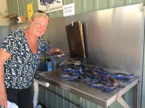Ceduna Foreshore Caravan Park - Accommodation Gladstone 28