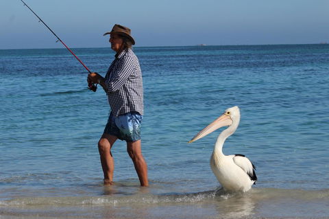 Ceduna Foreshore Caravan Park - Accommodation Gladstone 21