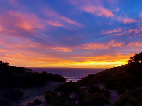 Sea Dragon Kangaroo Island - Accommodation Gladstone 14