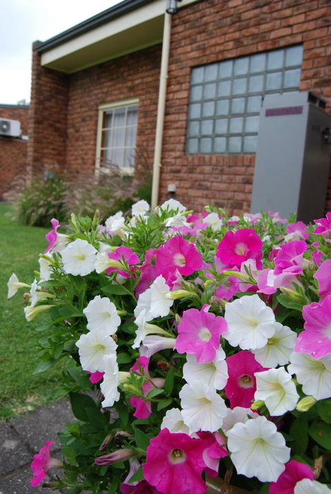 Arkana Motor Inn & Terrace Apartments - Accommodation Gladstone 40