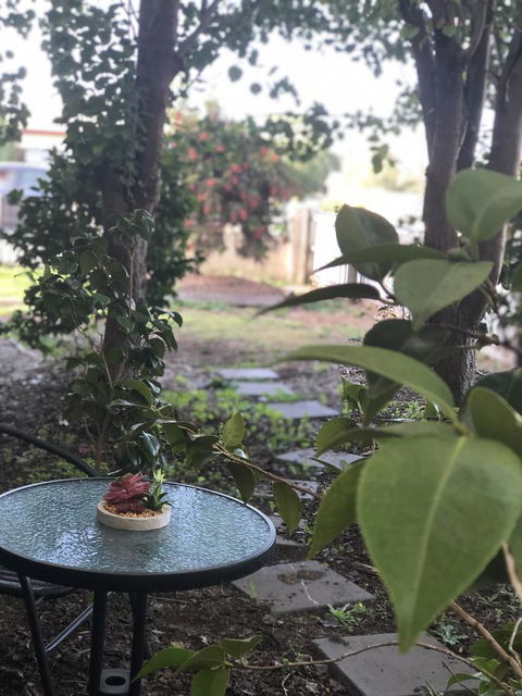 Olive\'s Cottage - Accommodation Gladstone 2