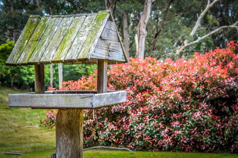 Ghost Hill Road Retreat - Accommodation Gladstone 17