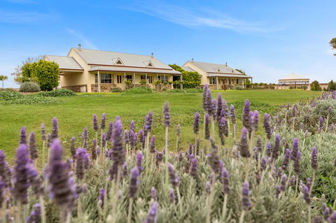 Barossa Vineyard Cottages - Accommodation Gladstone 10