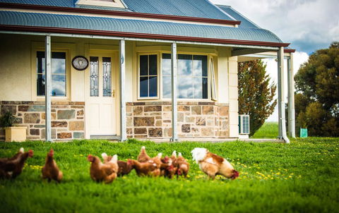 Barossa Vineyard Cottages - Accommodation Gladstone 40