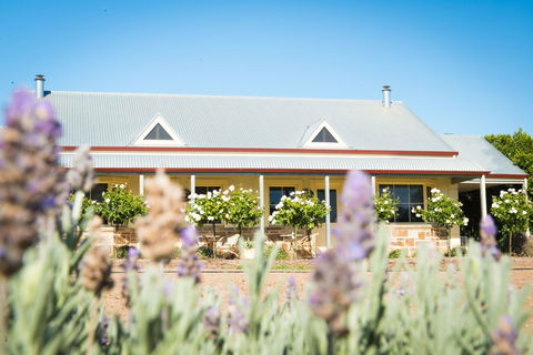 Barossa Vineyard Cottages - Accommodation Gladstone 3