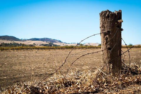 Barossa Vineyard Cottages - Accommodation Gladstone 5