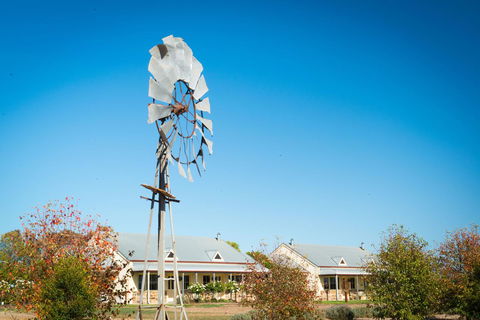 Barossa Vineyard Cottages - Accommodation Gladstone 6