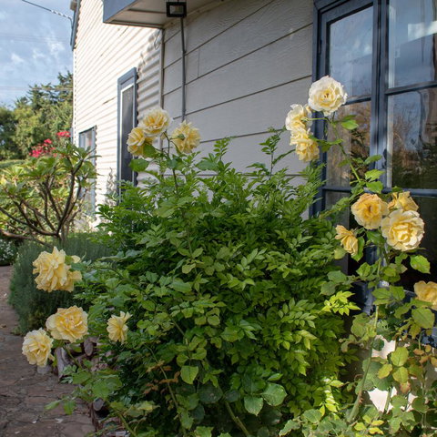 Haven Cottage Kangaroo Island - Accommodation Gladstone 1