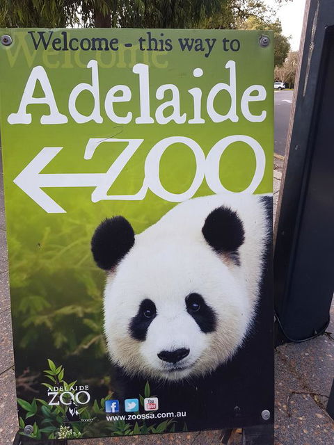 Adelaide Style Accommodation-Close To City-North Adelaide-3 Bdrm- FREE Parking - Accommodation Gladstone 35