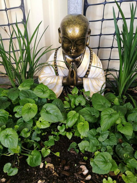 Hilda Anna's - Accommodation Gladstone 44