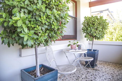 Mataro Cottage - Accommodation Gladstone 2