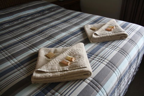 Isis Motel Scone - Accommodation Gladstone 3