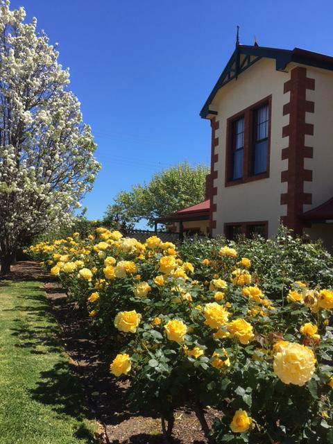 Wine And Roses Bed And Breakfast - Accommodation Gladstone 5