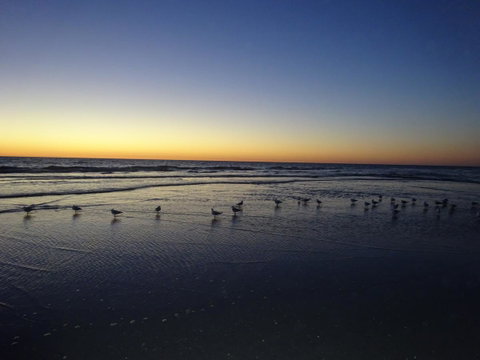 Selene Holiday Apartment @West Beach - Accommodation Gladstone 6