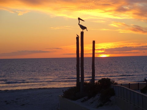 Selene Holiday Apartment @West Beach - Accommodation Gladstone 2