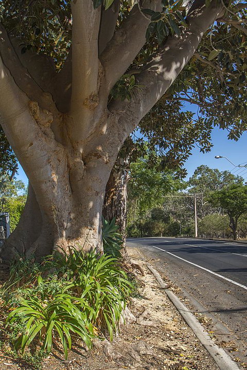 Stoneleigh Cottage Bed And Breakfast - Accommodation Gladstone 25