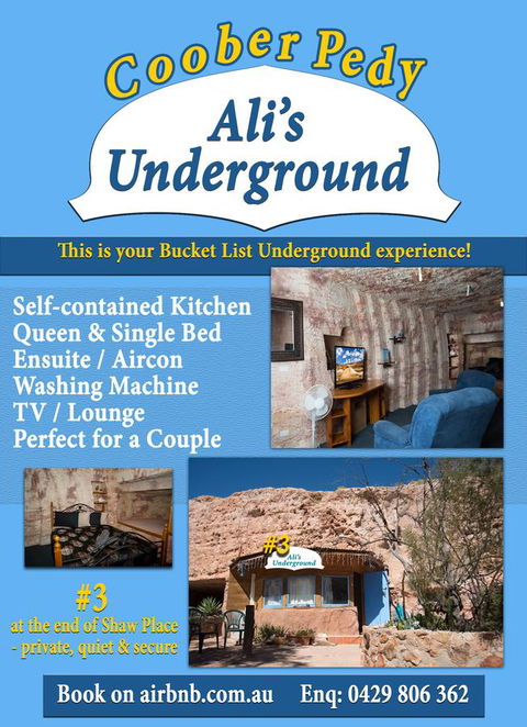 Ali\'s Underground Studio - Accommodation Gladstone 12