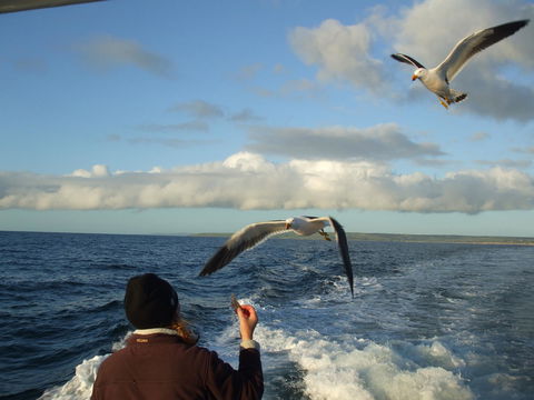 Casuarina Coastal Units - Accommodation Gladstone 25